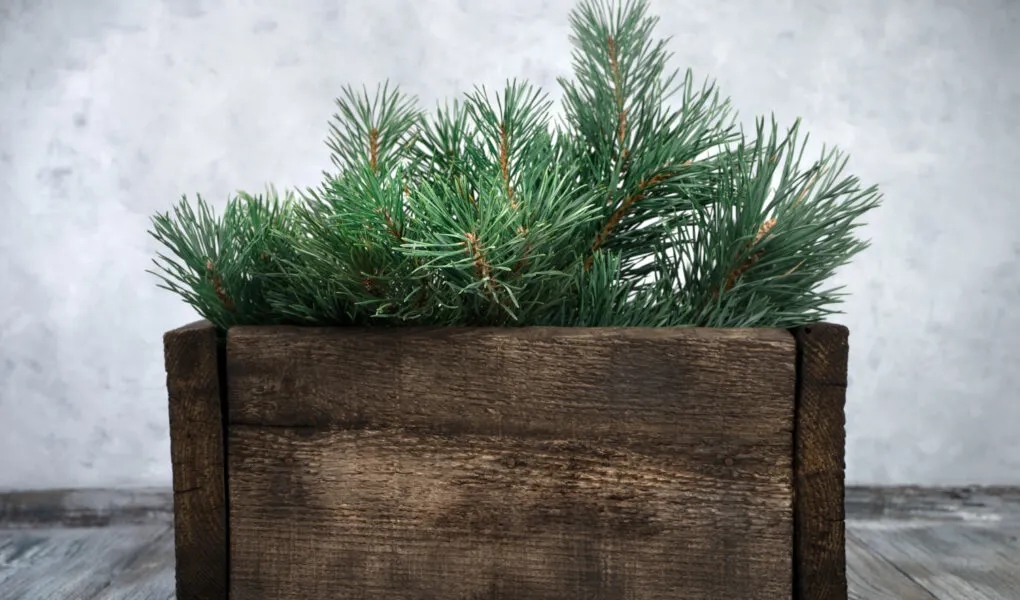 Jak stworzyć piękny stojak na choinkę DIY bez zbędnych kosztów